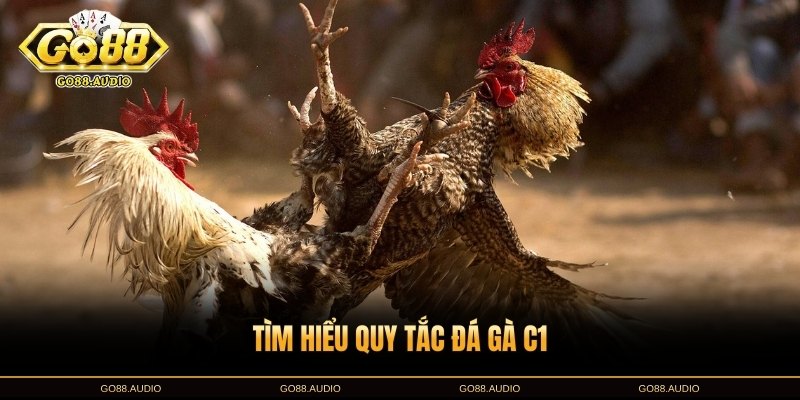 Quy tắc cơ bản khi tham gia đá gà C1